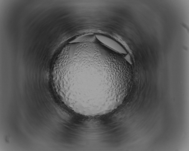 X0000091370063200709071335