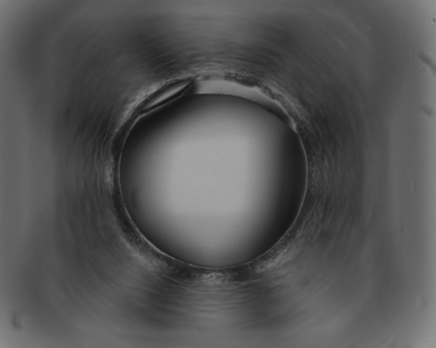 X0000091370064200709071335