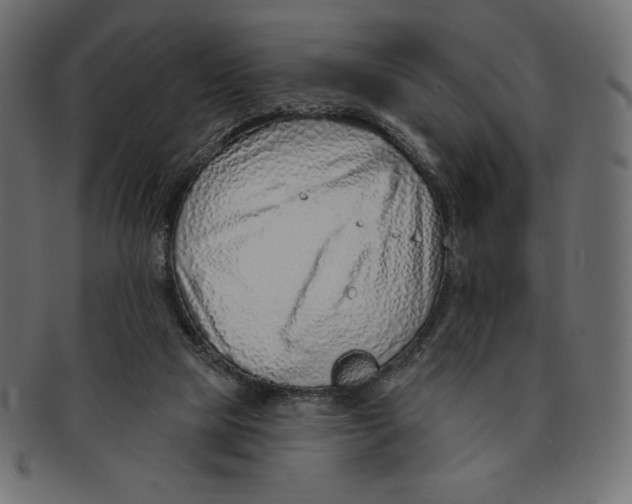 X0000091370065200709071336