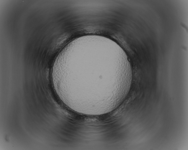 X0000091370066200709071336