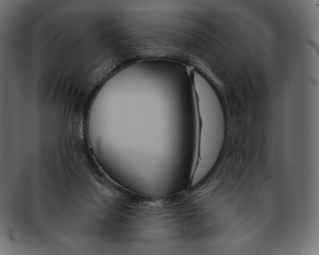 X0000091370068200709071336