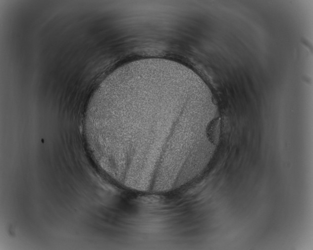 X0000091370069200709071336