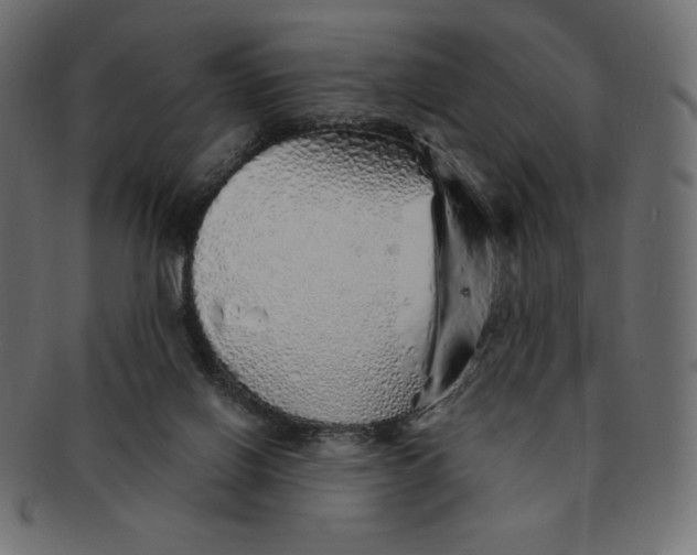 X0000091370070200709071336