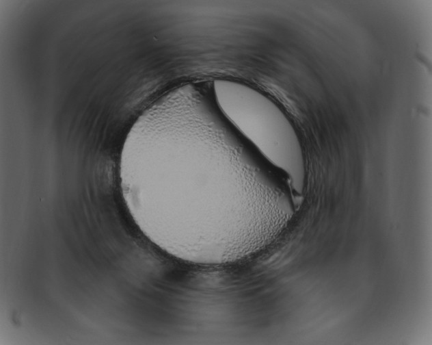 X0000091370071200709071336