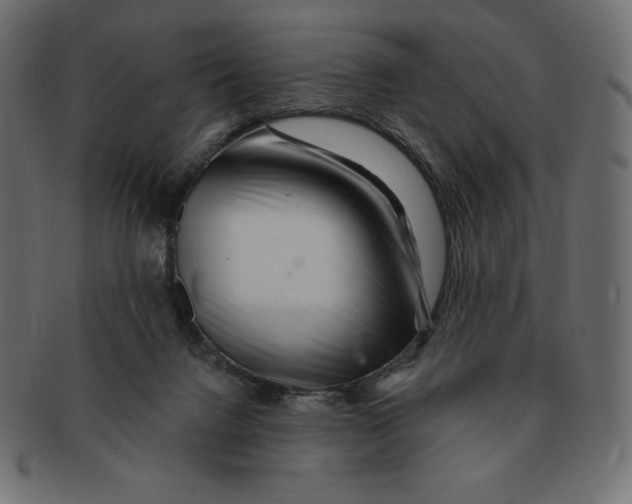 X0000091370072200709071336