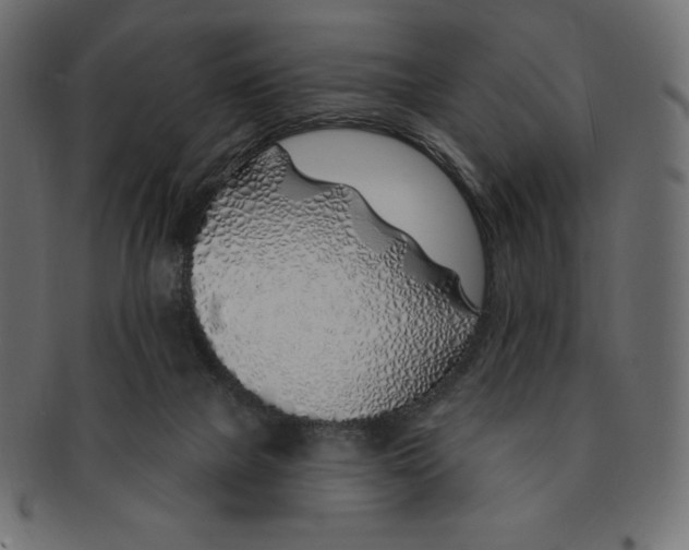 X0000091370073200709071336