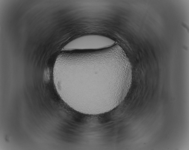 X0000091370075200709071336