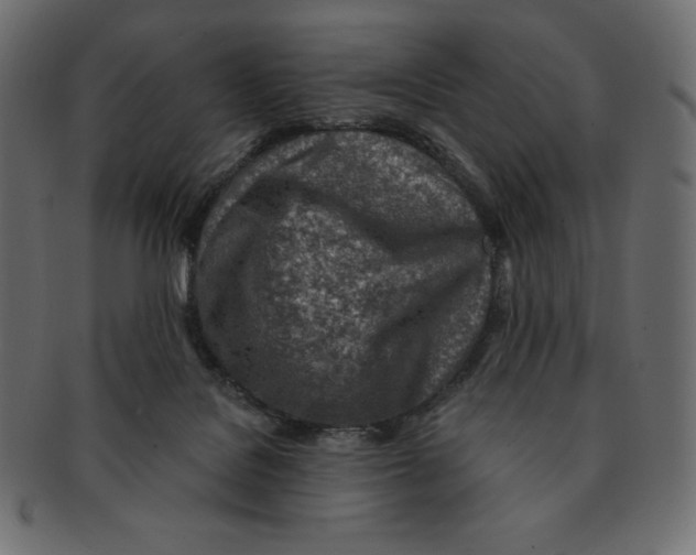 X0000091370076200709071336