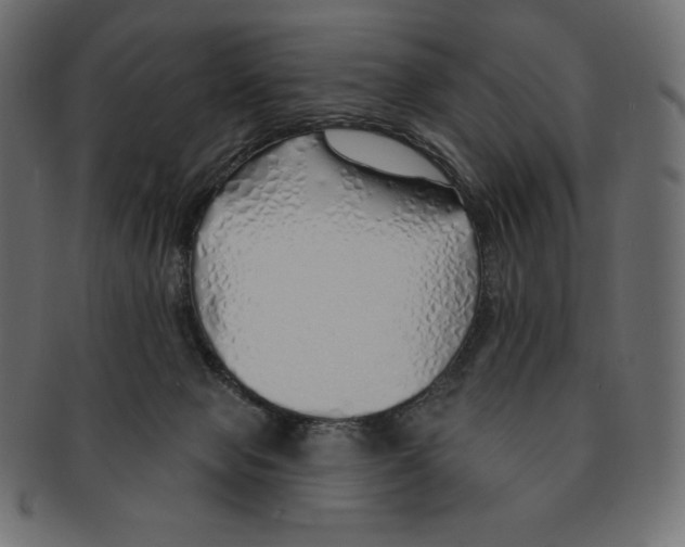 X0000091370077200709071336