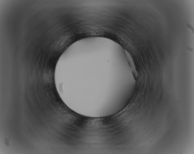 X0000091370078200709071336