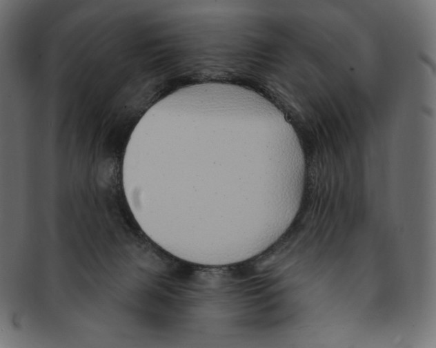 X0000091370079200709071336