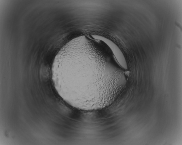 X0000091370081200709071336