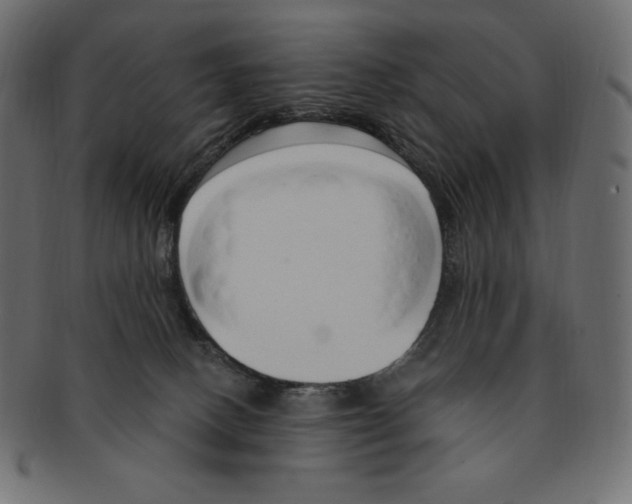 X0000091370082200709071336