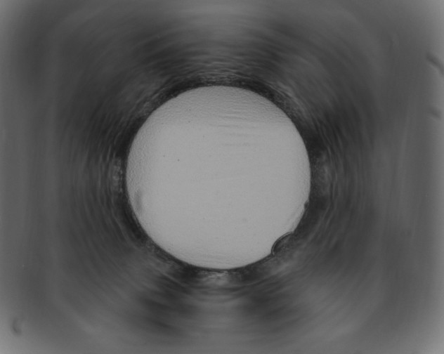 X0000091370083200709071336