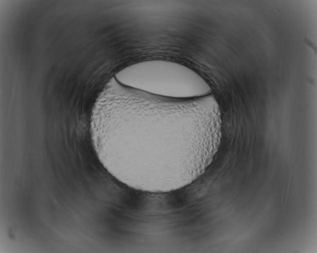 X0000091370085200709071336