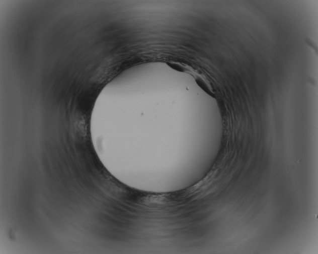 X0000091370086200709071336