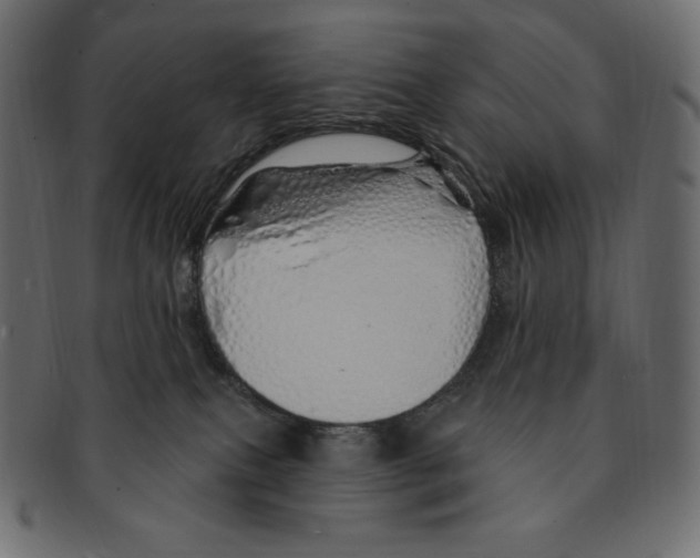 X0000091370087200709071336