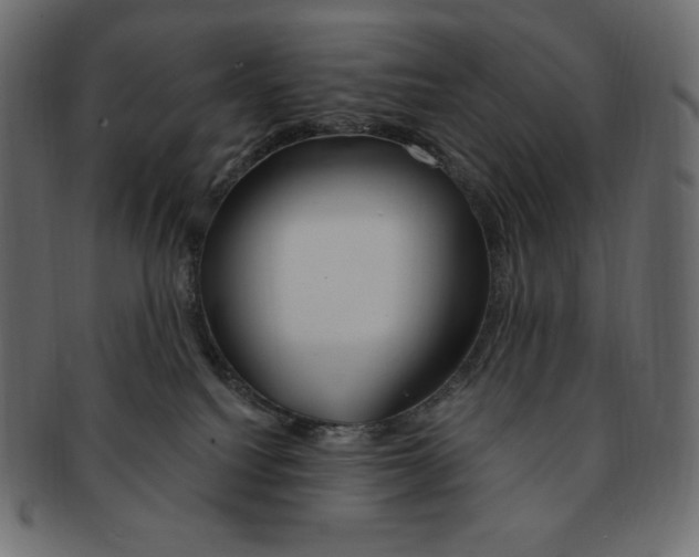 X0000091370088200709071336