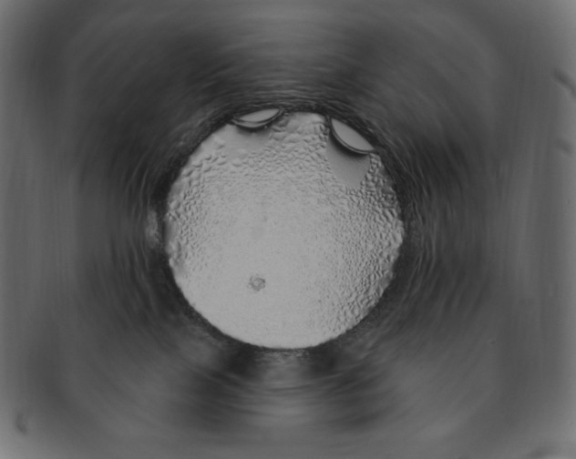 X0000091370089200709071336