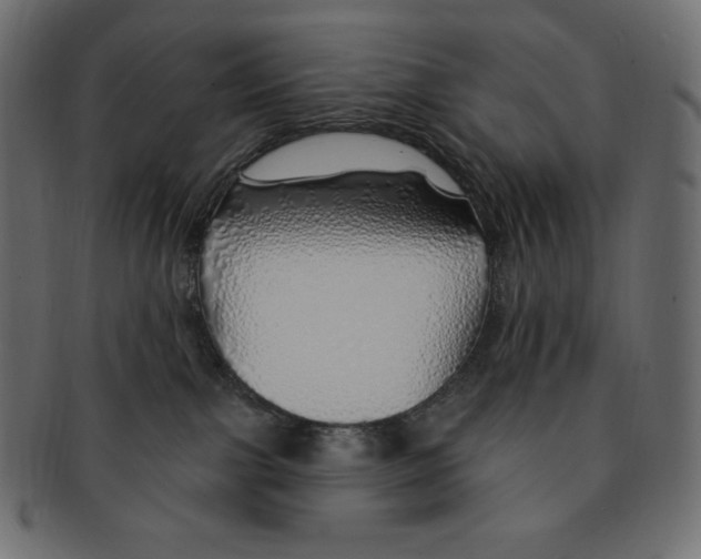 X0000091370091200709071336