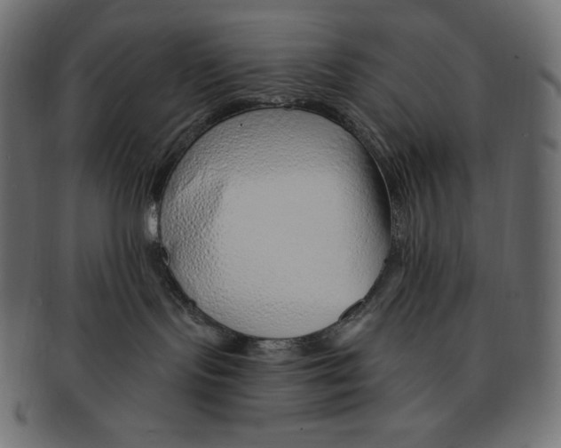 X0000091370095200709071336