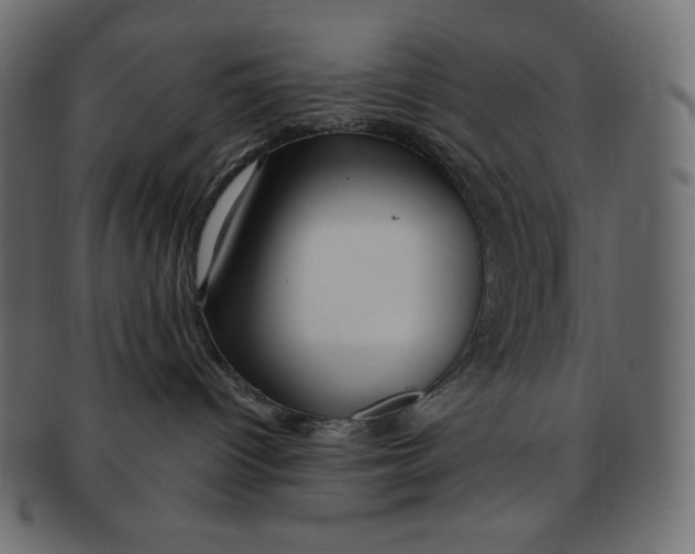 X0000091370096200709071336