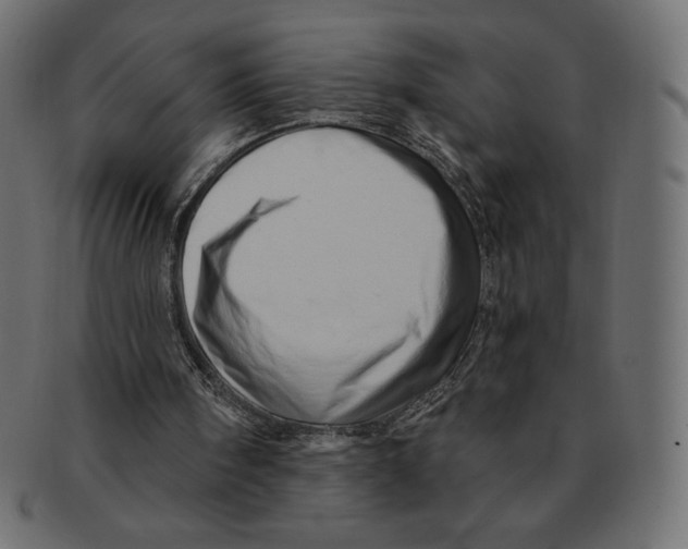 X0000091370098200709071335