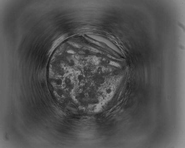 X0000091370099200709071335