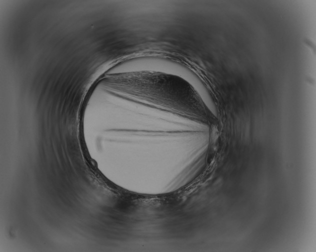 X0000091370100200709071335