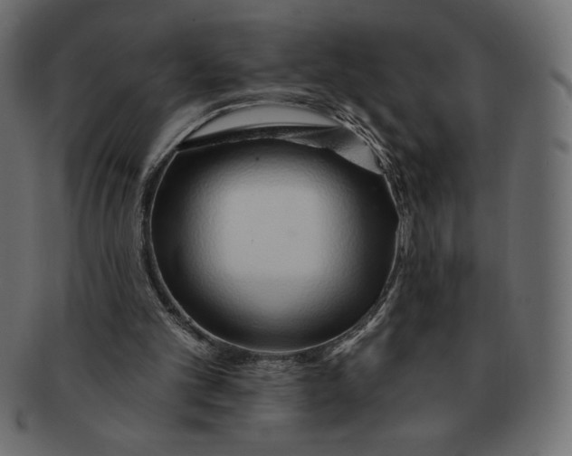 X0000091370101200709071335