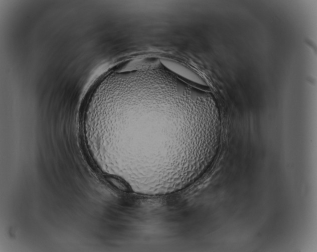 X0000091370102200709071335