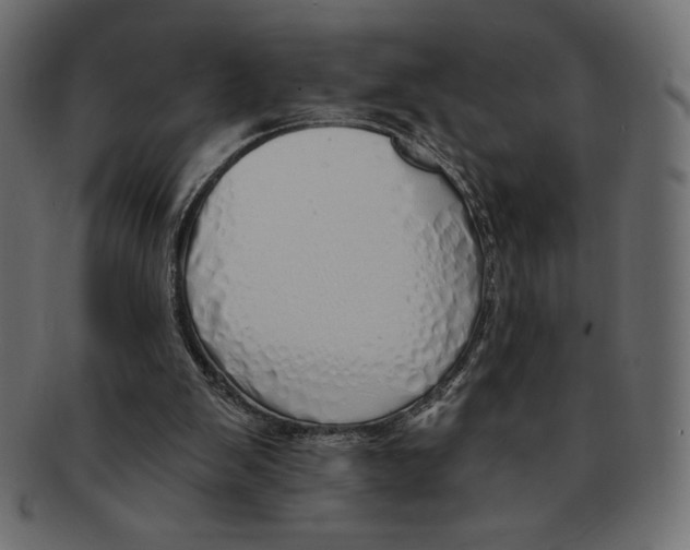 X0000091370103200709071335