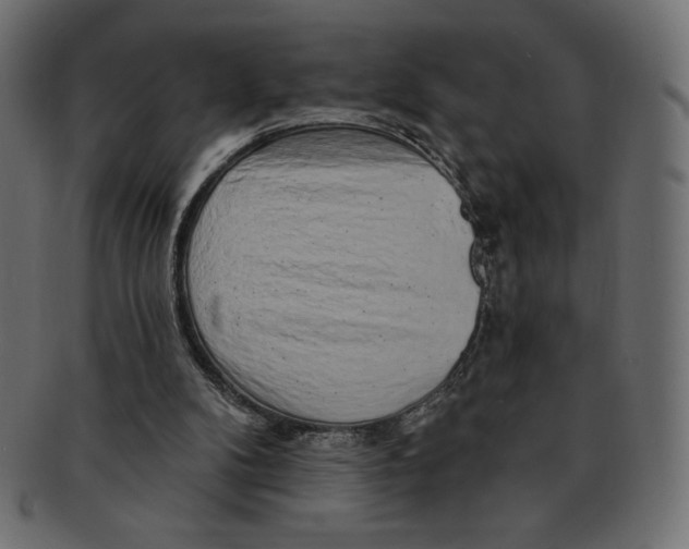 X0000091370104200709071335