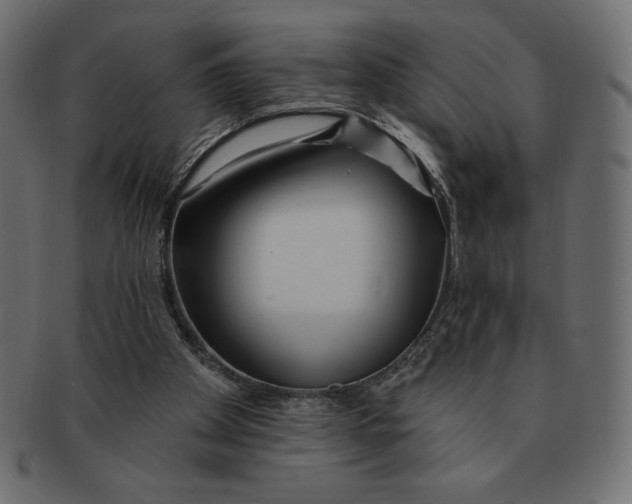 X0000091370105200709071335