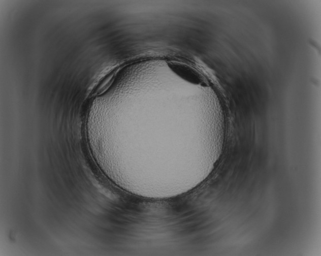 X0000091370106200709071335