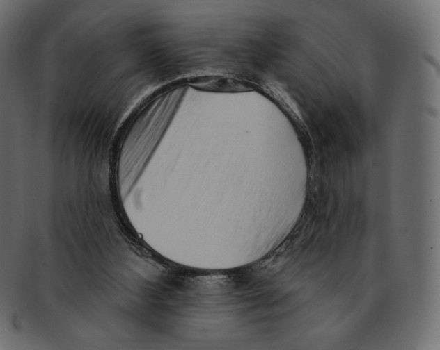 X0000091370108200709071335