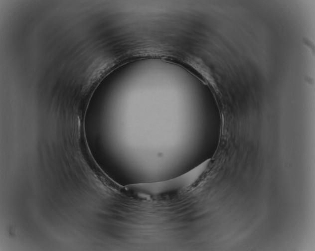 X0000091370109200709071335