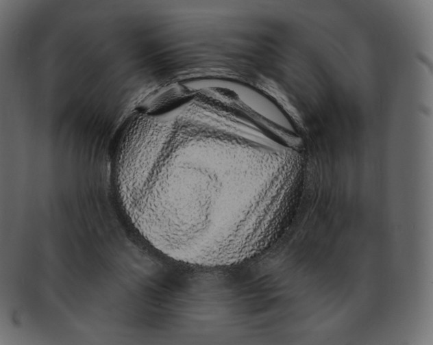 X0000091370110200709071335