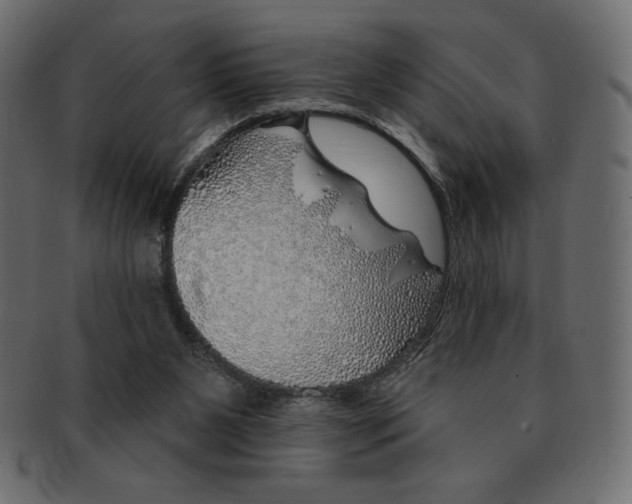 X0000091370111200709071335