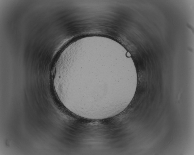 X0000091370112200709071335