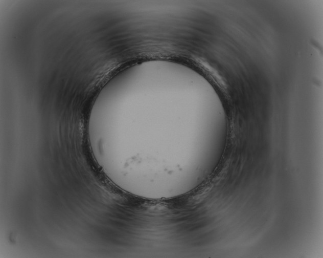 X0000091370113200709071335