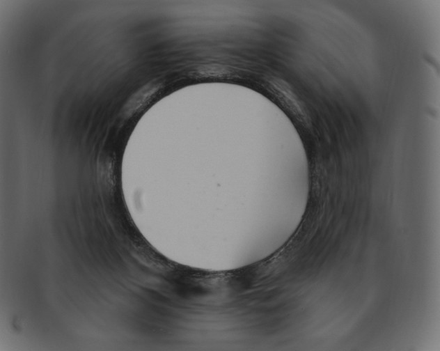 X0000091370116200709071335