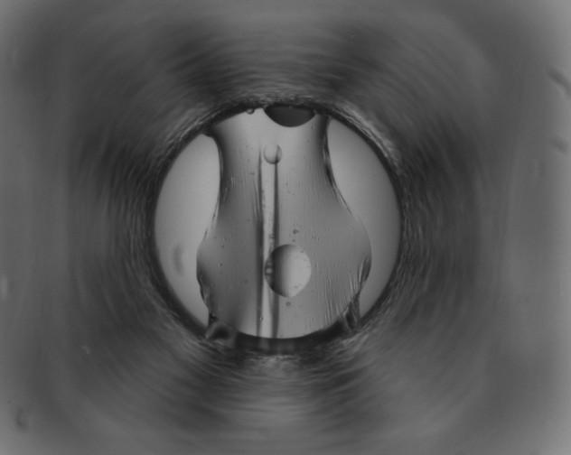 X0000091370117200709071335