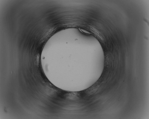 X0000091370118200709071335