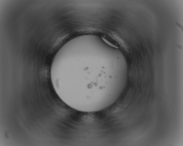 X0000091370119200709071335