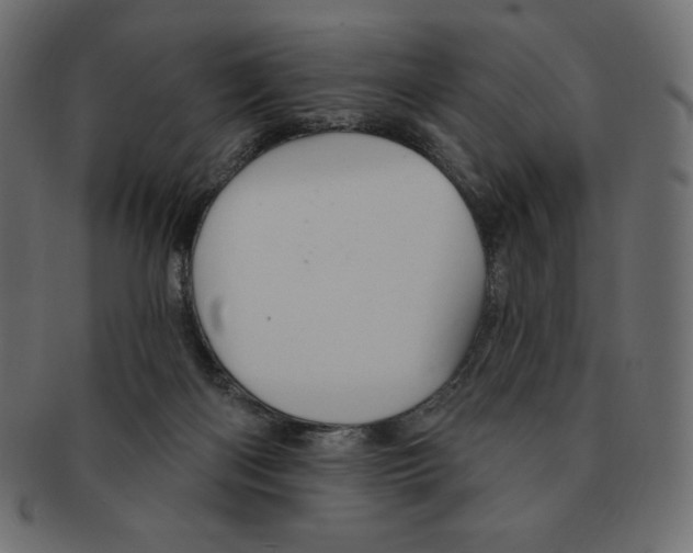 X0000091370122200709071335