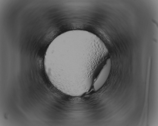 X0000091370123200709071335