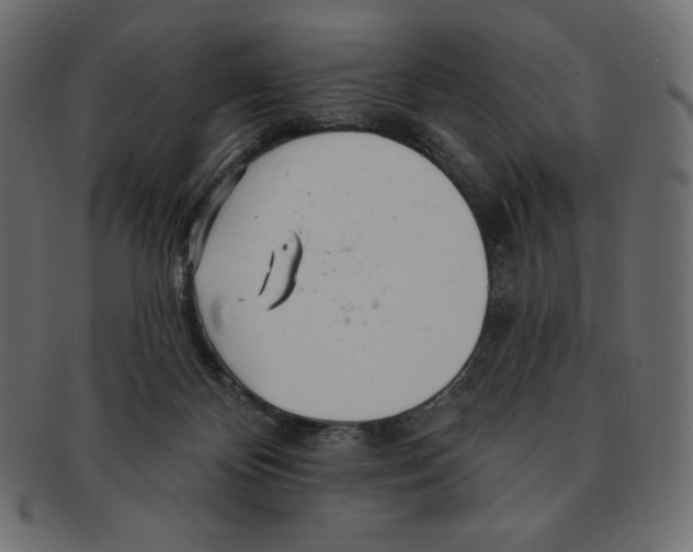 X0000091370124200709071335