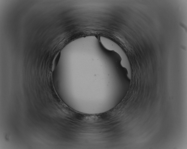 X0000091370125200709071335