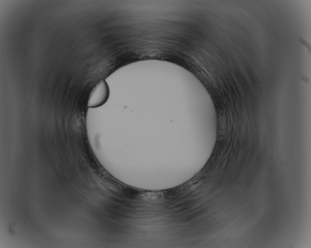 X0000091370126200709071335